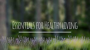 Healthy Living Essentials: Explore Home Health Products